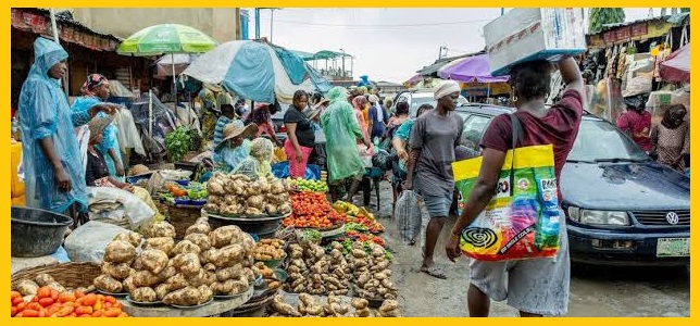 Tariff Hikes in Nigeria and Their Economic Effects