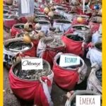 Native Doctor in Anambra Invokes Satan Against Governor Charles Soludo in Viral Video