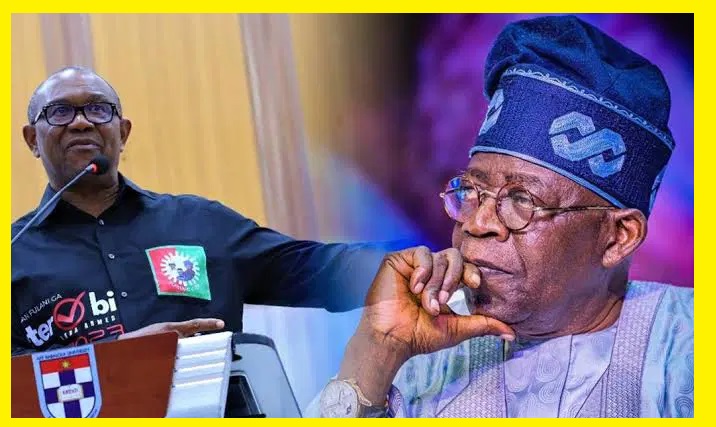 Peter Obi Commends Tinubu’s Benue Visit, Urges Similar Response to Niger Flood Tragedy