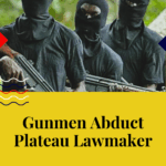 Gunmen Abduct Plateau Lawmaker