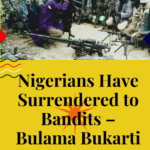 Nigerians Have Surrendered to Bandits – Bulama Bukarti