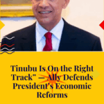 Tinubu Is On the Right Track” — Ally Defends President’s Economic Reforms