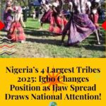 Nigeria’s 4 Largest Tribes 2025: Igbo Changes Position as Ijaw Spread Draws National Attention! 🌍