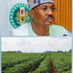 Bandits Impose Fresh Levies on 26 Sokoto Communities, Suspend Farming Activities