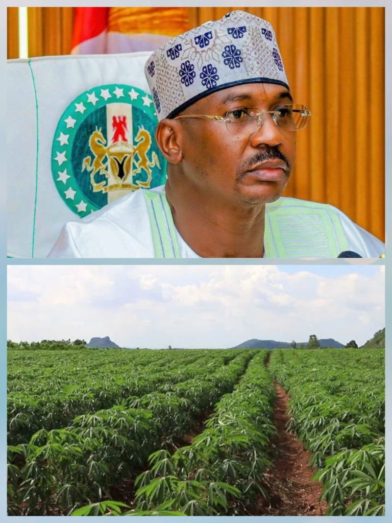 Bandits Impose Fresh Levies on 26 Sokoto Communities, Suspend Farming Activities
